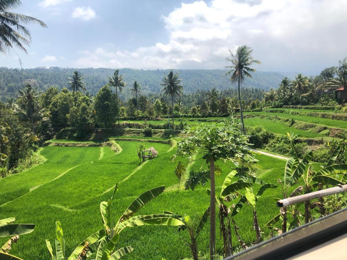 TEGAL SARI, Pemuteran- North Bali Hotel Bagian luar foto