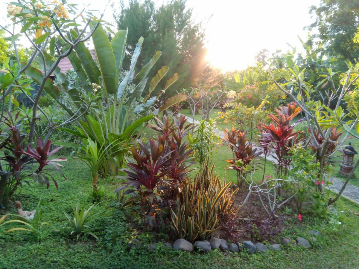 TEGAL SARI, Pemuteran- North Bali Hotel Bagian luar foto