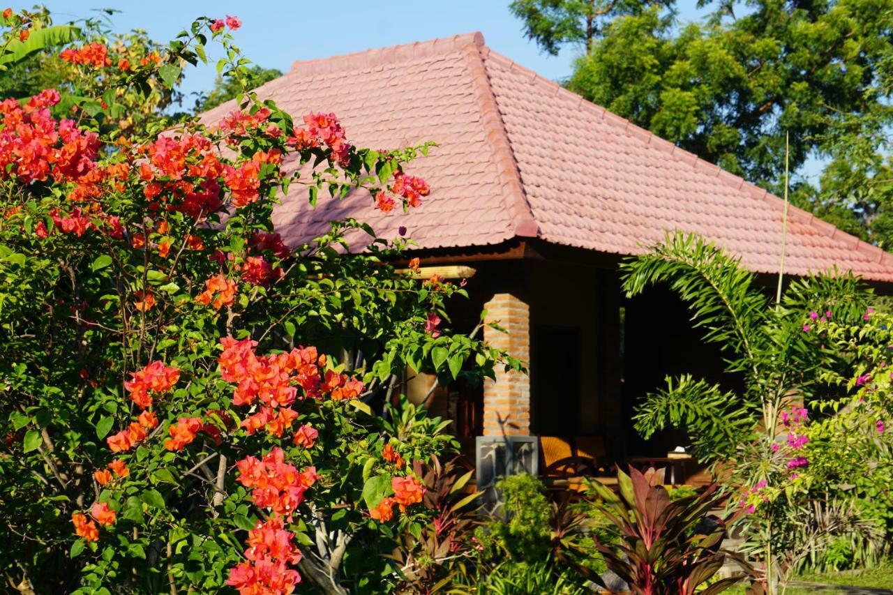 TEGAL SARI, Pemuteran- North Bali Hotel Bagian luar foto