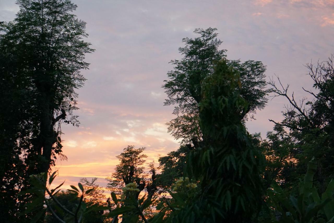 TEGAL SARI, Pemuteran- North Bali Hotel Bagian luar foto