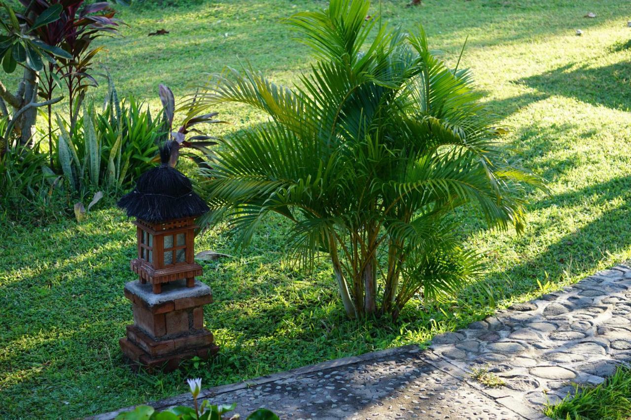 TEGAL SARI, Pemuteran- North Bali Hotel Bagian luar foto