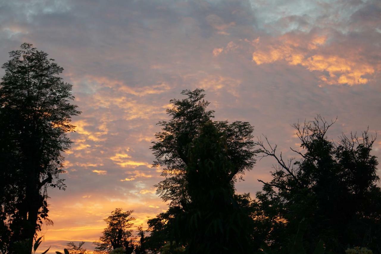 TEGAL SARI, Pemuteran- North Bali Hotel Bagian luar foto