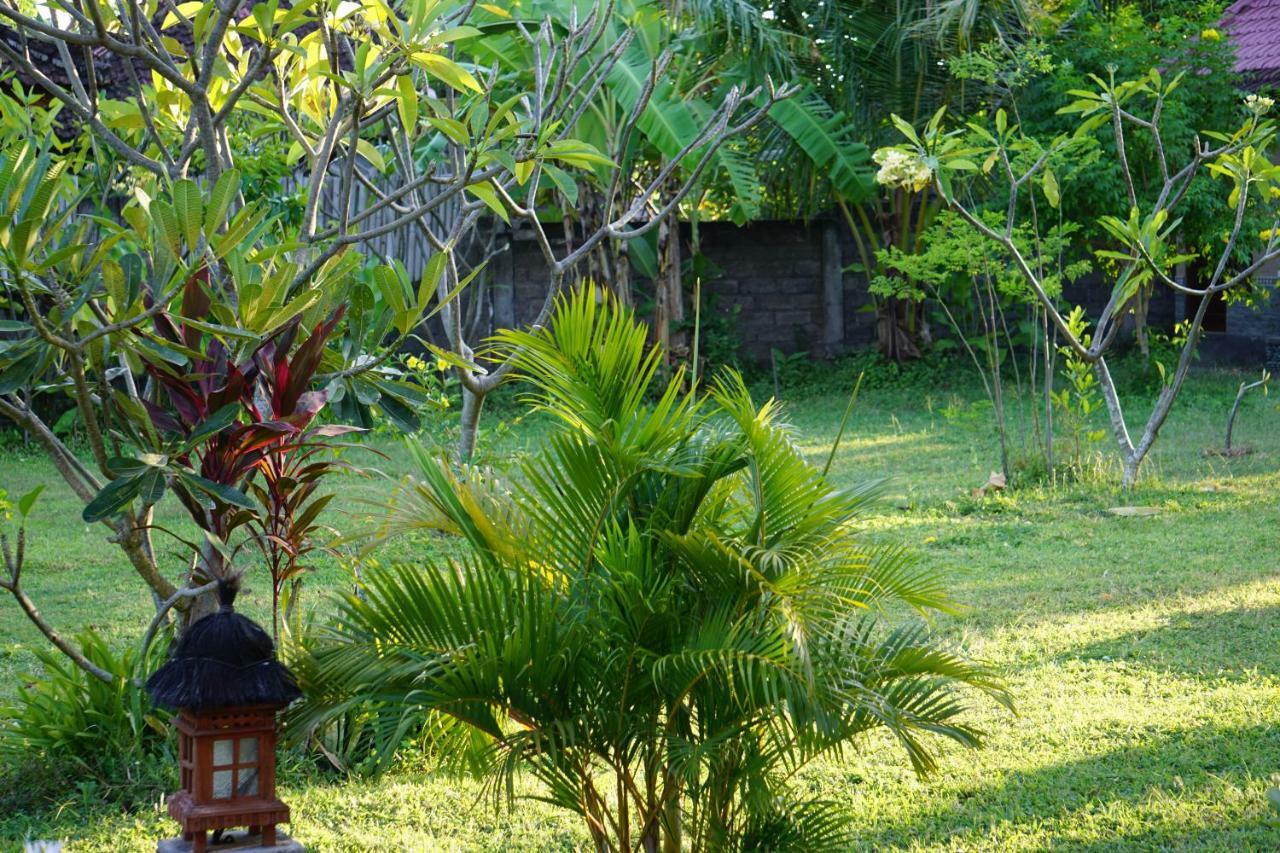 TEGAL SARI, Pemuteran- North Bali Hotel Bagian luar foto