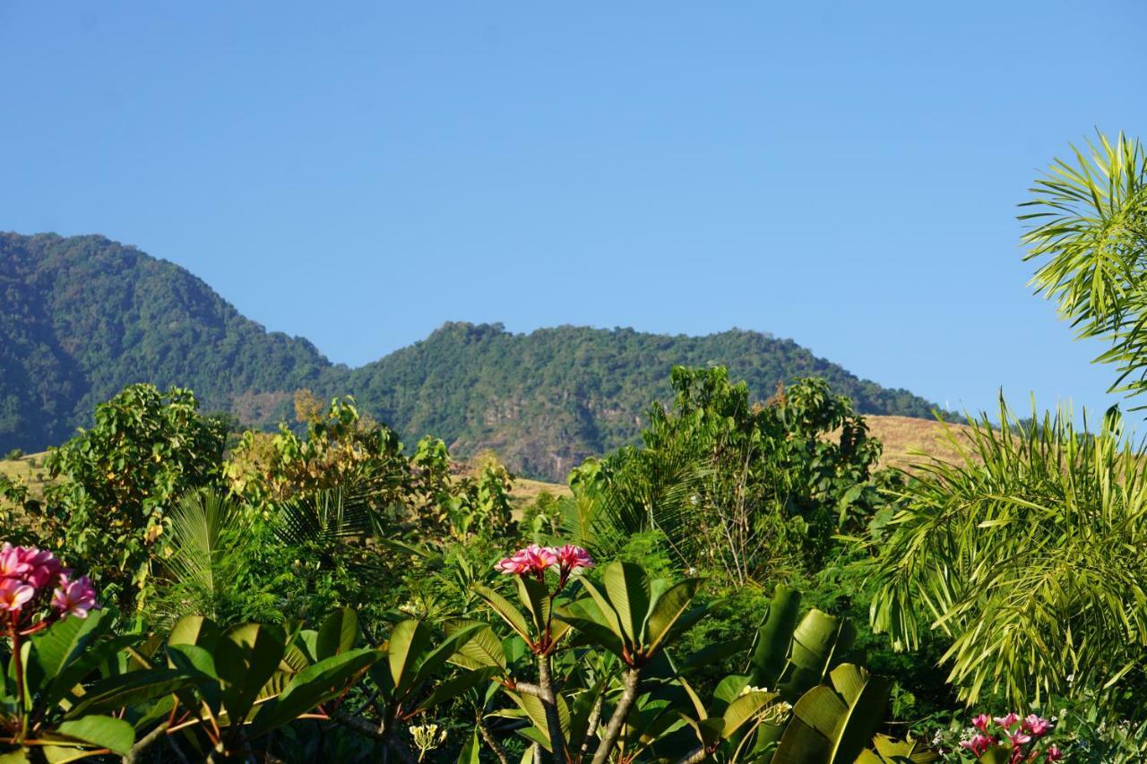 TEGAL SARI, Pemuteran- North Bali Hotel Bagian luar foto