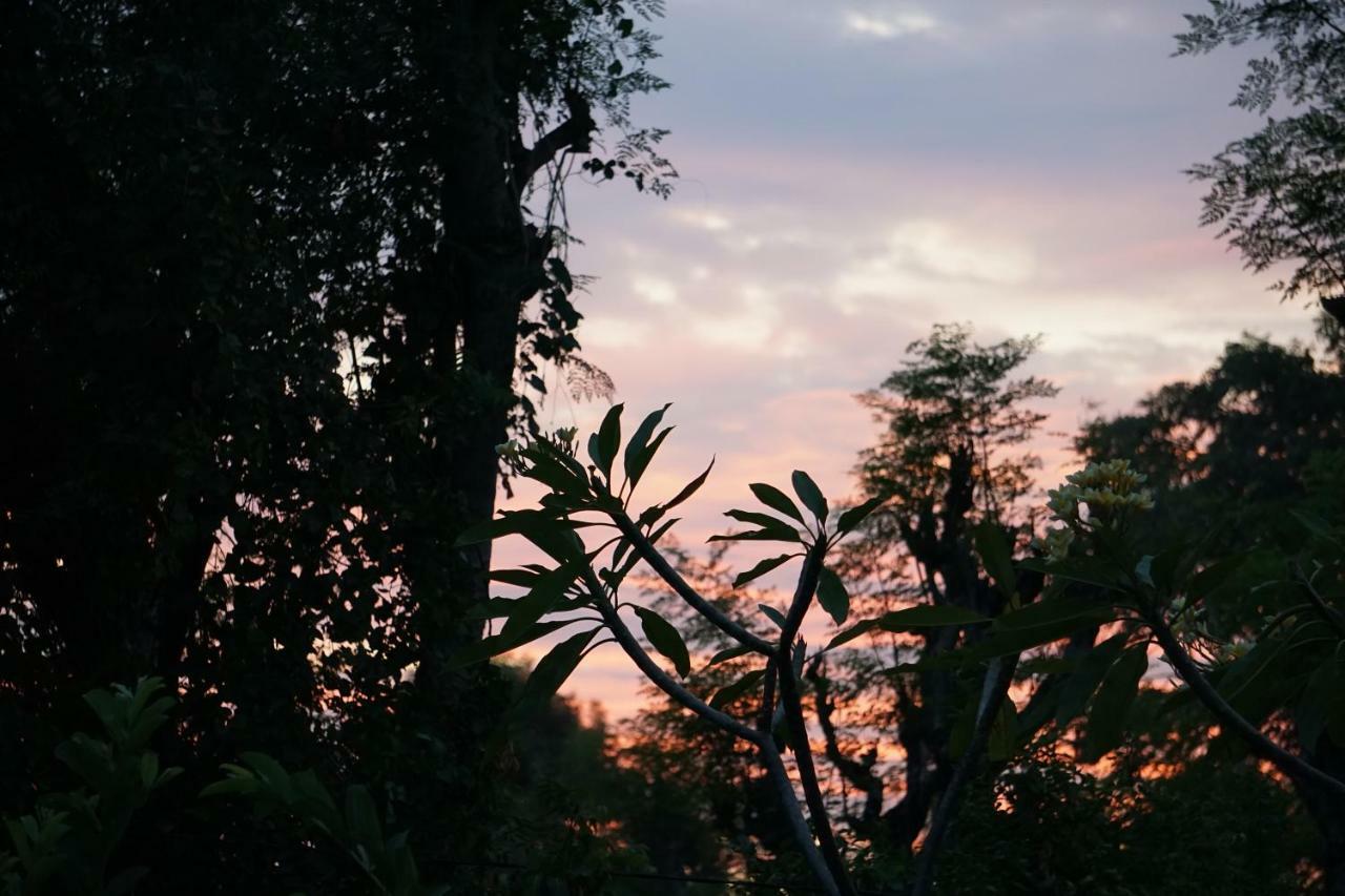 TEGAL SARI, Pemuteran- North Bali Hotel Bagian luar foto