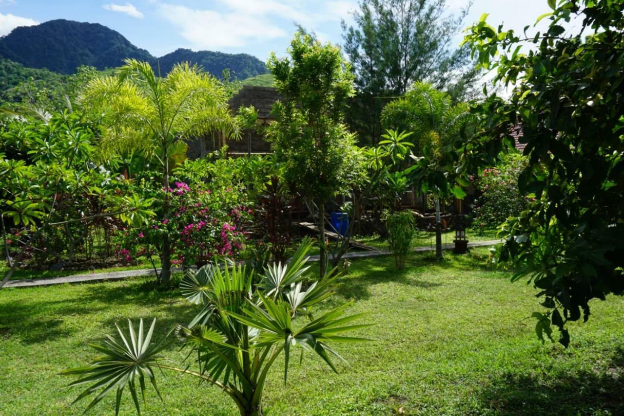 TEGAL SARI, Pemuteran- North Bali Hotel Bagian luar foto